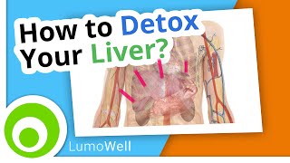 Liver cleanse: diet, foods and natural tips to detox your liver